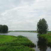 f668091f39b9e8a8a26b74cb5df10a7c