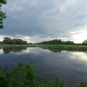 fe4018f95a4e50b229c654133d750038