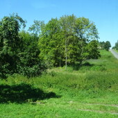 1bc7b07894b030fb7c4199d9fd5b5e1f