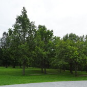 1cf9fc255930589647f44715dddaa4a0