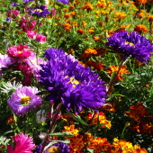 1f7a23a52c8d8cb9c7f4e57418909e7e