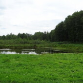 22be79fe2412020b4e2dc7e57ea48cc7