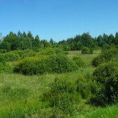 2e974f8606134119c472720111d1fe0b