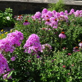 3a0f2ef6c07acb59fb7e5e390d324142