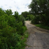 3a3025f5f5758d01f2465e65ae34f399