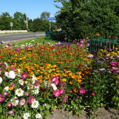 3d6ca01512c41c508a9c5ab26b326269