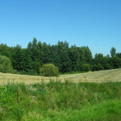 433390efb2c27bc32b3caad4093dd19e