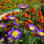 474d379a5fa09912a0143f3f08fde889