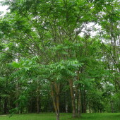 499a59c8d4ca929db31de868a0c47c61