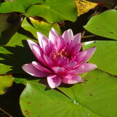 4bb995db8df060d2ac3d84ba4dd22248