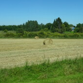 54090b205f8a7a86aaba7caa13c605e5