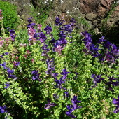 5608f746bb46062dbb9aedb513ac8238