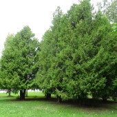 561c8deed6701961ed0d3e65573d1475