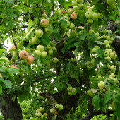 58883698d64035bb79387f239832dff1