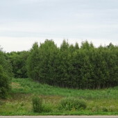 58d6a50a62f50a37260b9da9188a2798