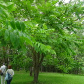 6bb20f54ae365893cdb19bc395ceb022