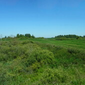 70825d4f314514c66328416d1c66cf65