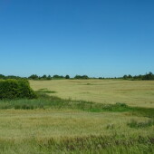 72ac86bcb91dbb900be66a99760a7643