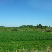 7738d85cf3529c7b2c70219349c0fb1f