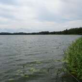 7fb1d26253bfef317c16153b1cb5ff35