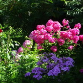 7fe100db1e205947ea1c9ce3b3ff2887