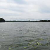 923b1488350134436c419f023ae8ec20