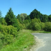 9cabf809028f6b95879050a6eb17baa4