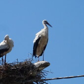 a4f5fb66148a7877cbe6fb037743ba16