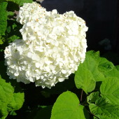 ac6c8b529b0e7a334bde449dbe30ce3b