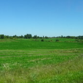 ad1dbf4fd4c7c0939d2acc79e975c563