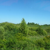 b55df3f2d8b110604f4cd53e92e2892d