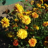 be7becc9f643f518a6e2f5bb5565acb1