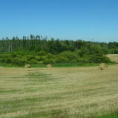 c3edf6d4f80f853ab0a3552b8273ba11