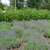 d02b06e06eeda837fd77c6e1b0f8e7bd