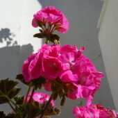 d35f0029b3df94bc67c2ece050d90ca7