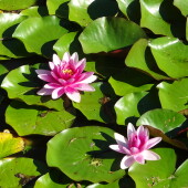 de32463f27e520970f957c903a442c61