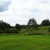 e8b609bfbe008320bee527cacf54bde7