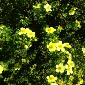 f10ebae0d544edbe07be365287d0f6a2