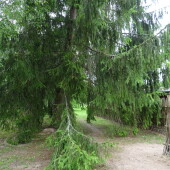 f28c3719f41b129f5c084a896f5e903c