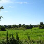 f29a2f471455639cd17ed817fa7cbf0a