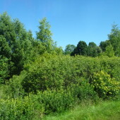 f7cc69bc21c43390cebd9e26978444c2