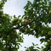 f8dcfd522dcc2d4dd6cbc21f5d2547d1