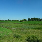 fc2e6a713c5004fb65babd83a8014d8e