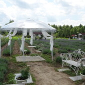 081f4c742e3e3f398d1e87070df07e24