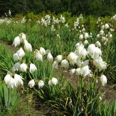 4b99091dc79996d0dd490993d55b059a