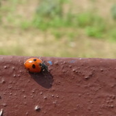 5005425d0b392cf648532451428ba814