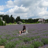 53e949dad75c58e96df9e714d93ecf12