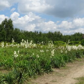 5cb9e1908812e81f4796d68e3310683a