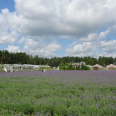 68159929804287a24bf98c739bbd96a7