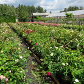 71454ada2b248608902ced99a1b00356